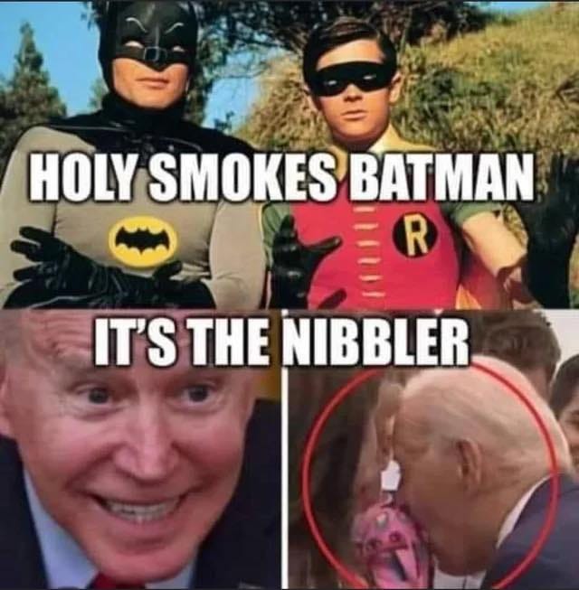 May be an image of 3 people and text that says 'HOLY SMOKES BATMAN R IT'S THE NIBBLER'