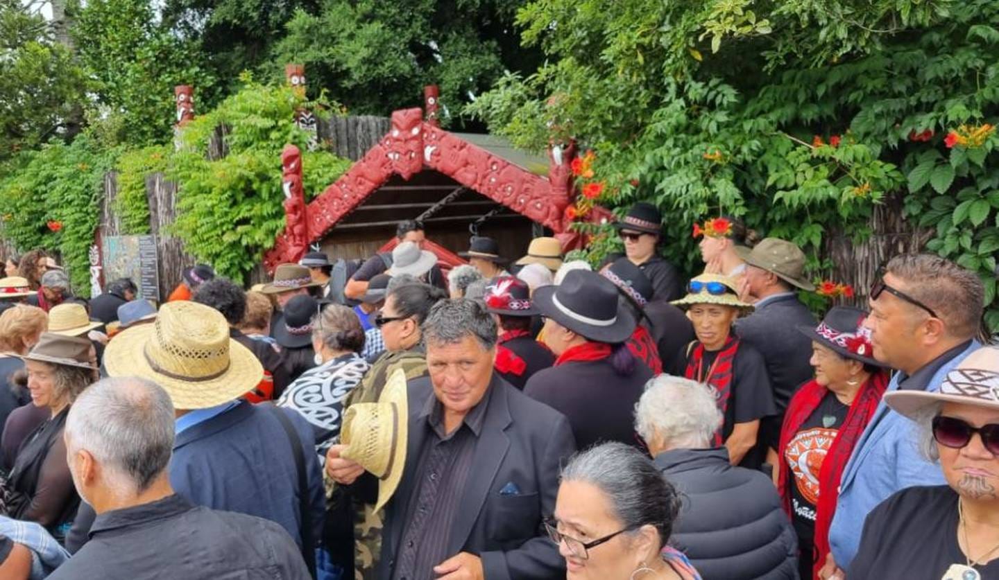 Thousands arriving at Turangawaewae Marae for nationwide hui. Photo / RNZ 