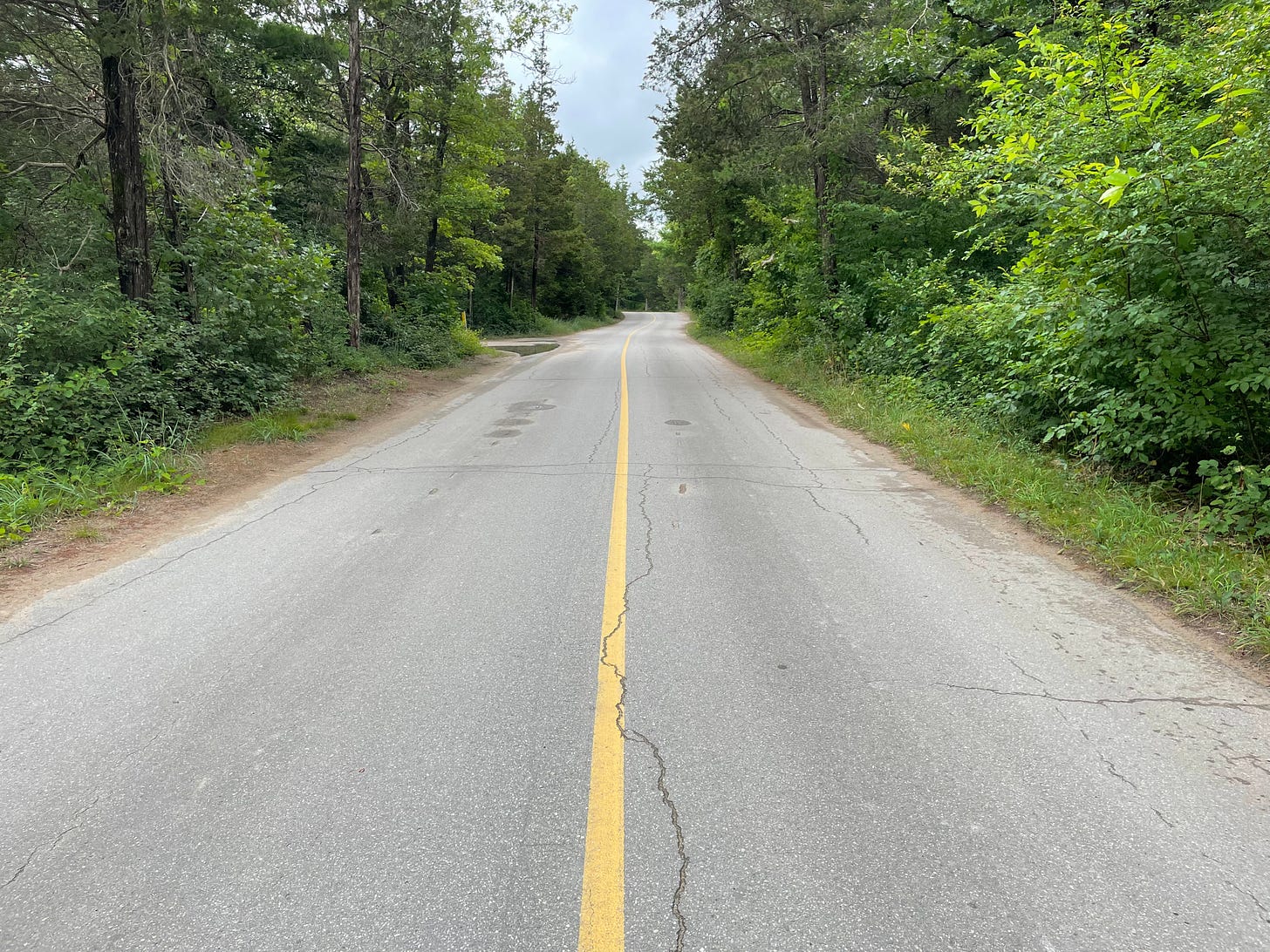 An image of a road, surrounded by trees, fading into the horizon