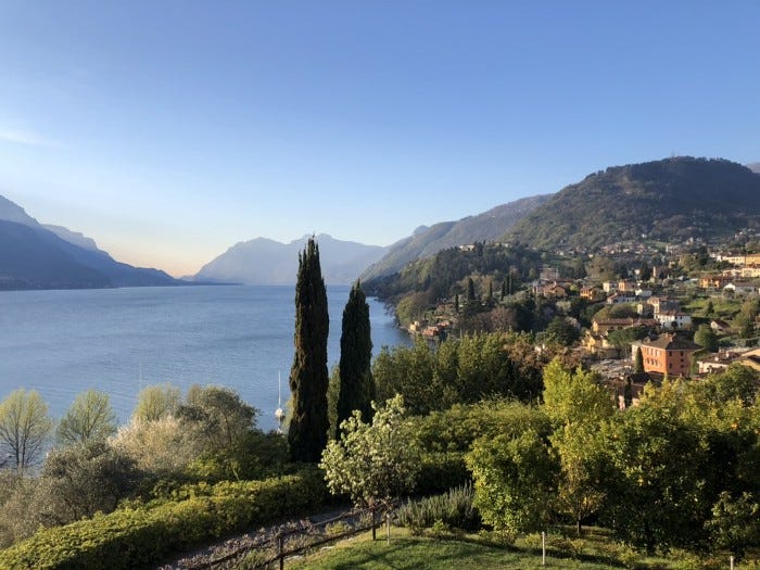A view of Lake Como with Cypress trees in the forefront and a small village to the right.