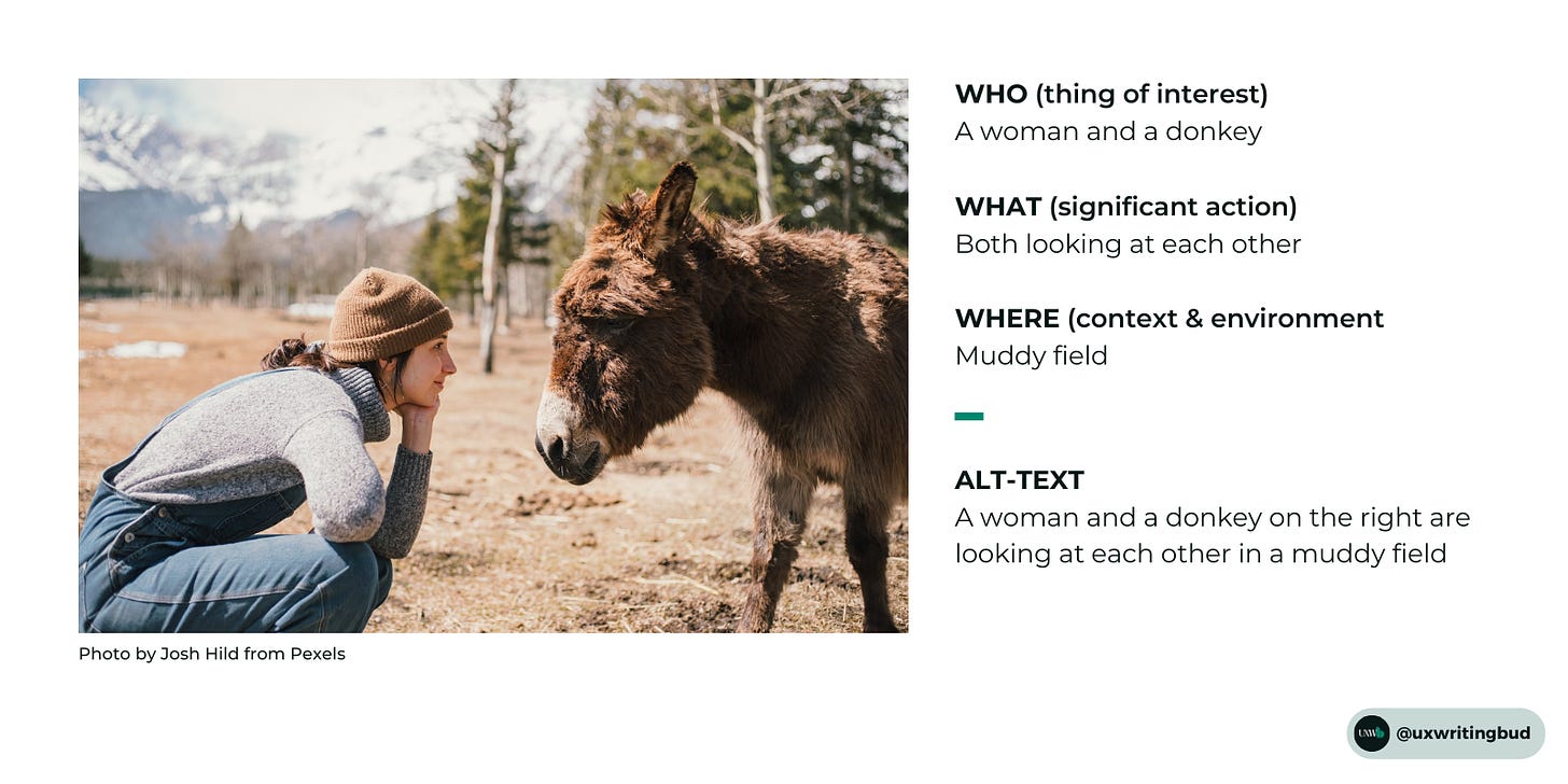 As per the alt-text string of who, what and where, who or thing of interest in this example image is a woman and a donkey  What or significant action is both looking at each other  Where or context & environment is a muddy field  So the alt-text for the image is A woman sitting on the left and a donkey on the right are looking at each other in a muddy field