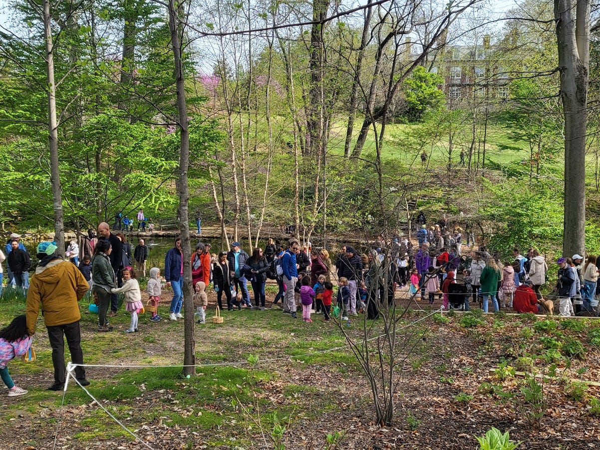 Picture shows 80-100 people and children gathered around the lily pond in Tregaron waiting for the easter egg hunt to start. It is a bright day and there is a lot of greenery with skinny trees in the area. The top half shows a blue sky background with Washington International School also visible. People and children are dressed in coats since it was a slightly chilly day.