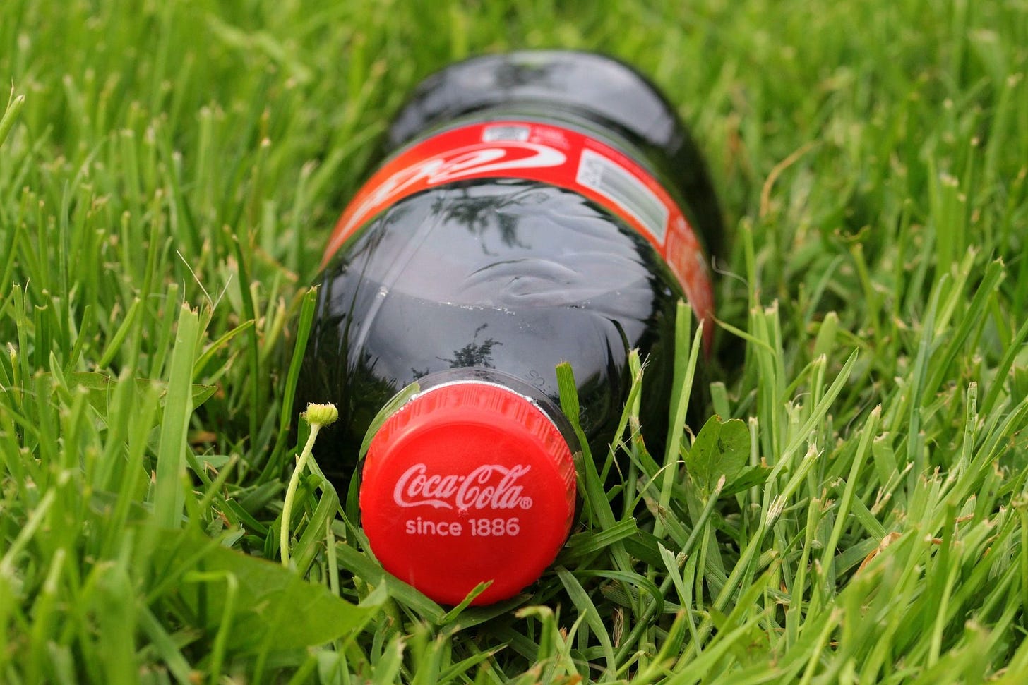 Mind-Boggling: Coca Cola Alone Produces 108 Billion Plastic Bottles a Year!