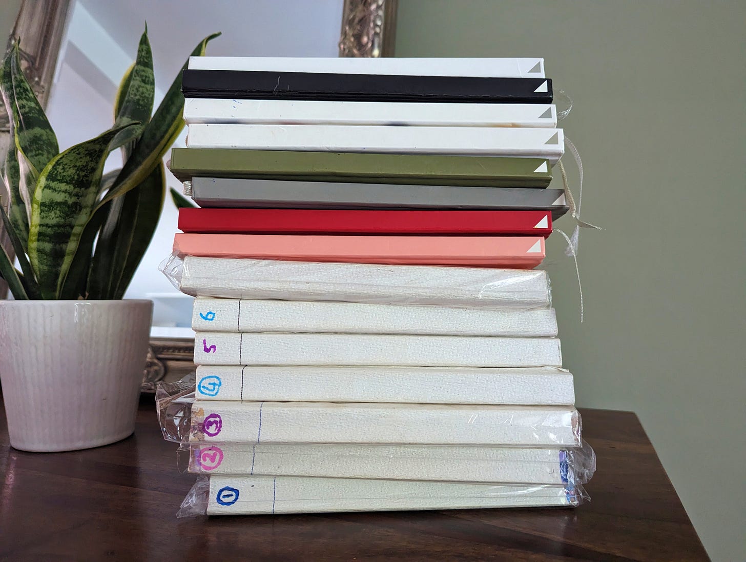 a stack of notebooks on their side on a wooden dresser with a mirror behind and a house plant to the side