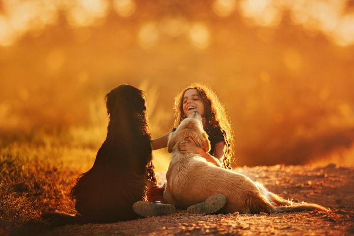 happy girl playing with dogs on ground