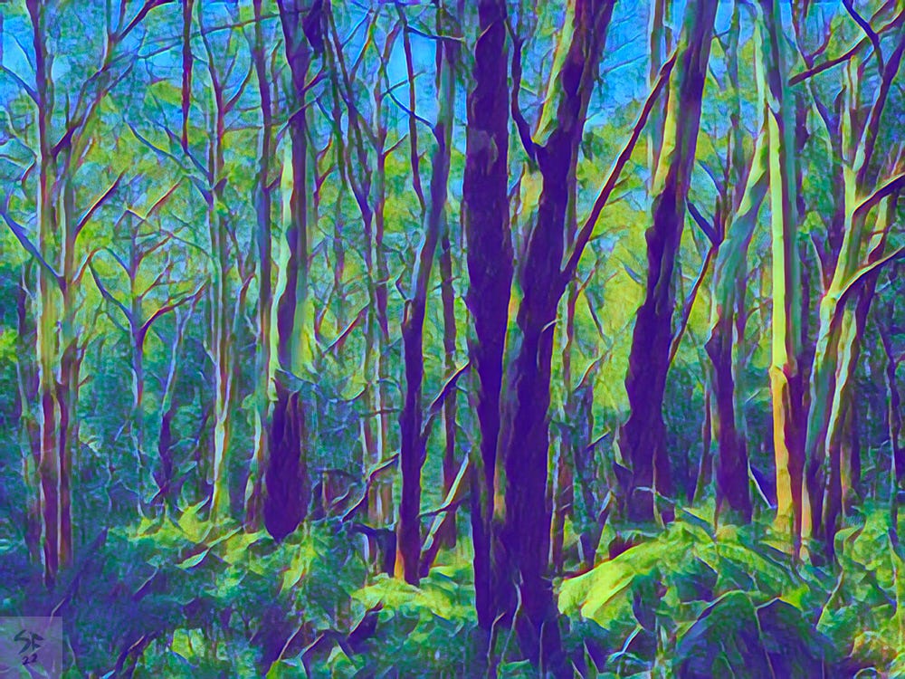 Digital 'oil painting': thick forest under blue sky.
