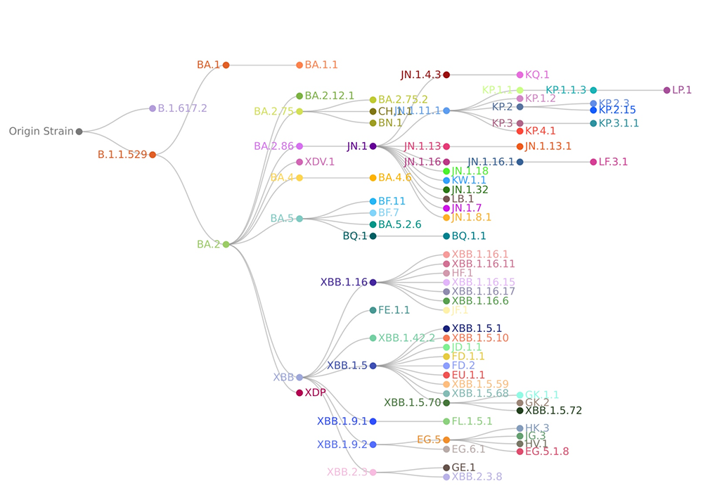 COVID-19 lineage tree