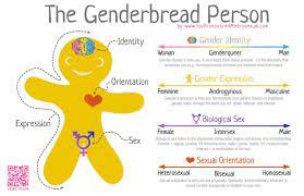 The Genderbread Person by Sam Killermann