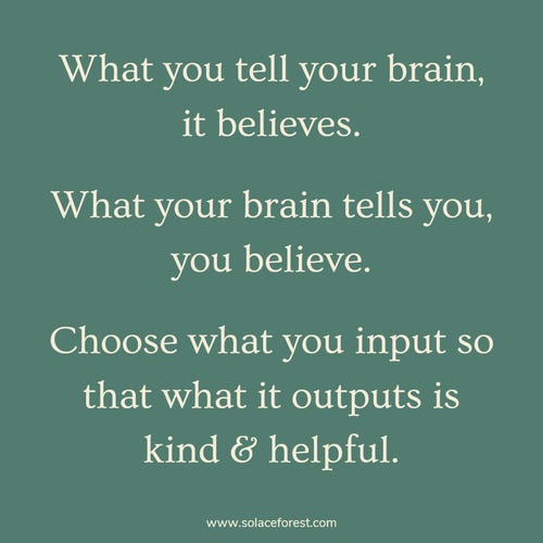 What you tell your brain, it believes.    What your brain tells you, you believe.    Choose what you input so that what it outputs is kind and helpful