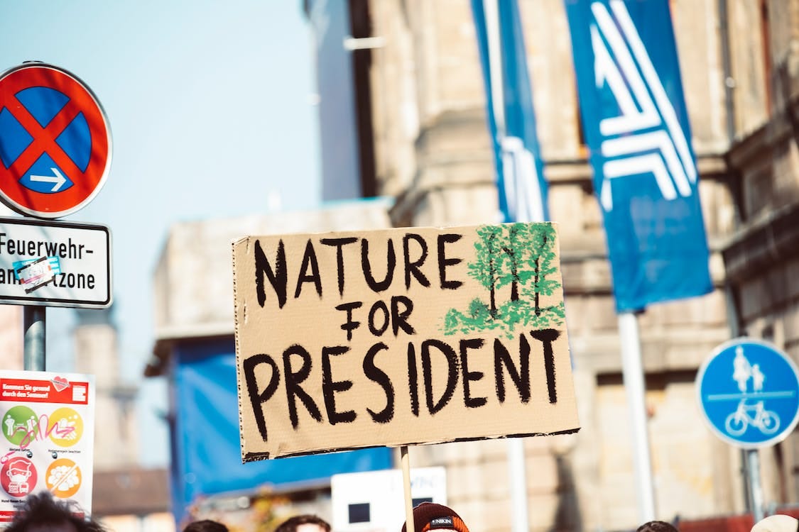 Free Close-up Photo of a Climate Placard  Stock Photo