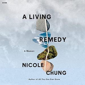 the audiobook cover of A Living Remedy, showing four rocks stacked on top of one another with a line running through them. The two center rocks contain images of pine trees and an ocean
