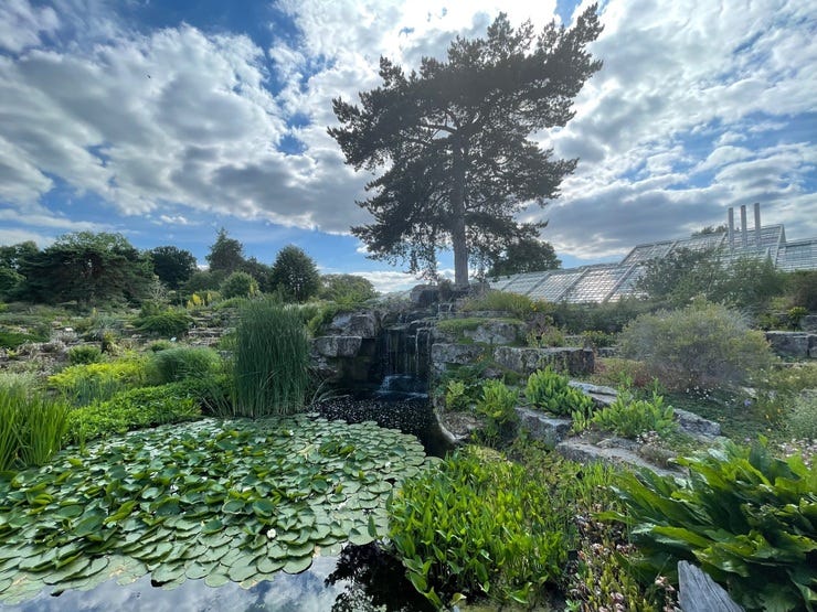 We loved the extensive rock gardens at Kew. And look at that sky!