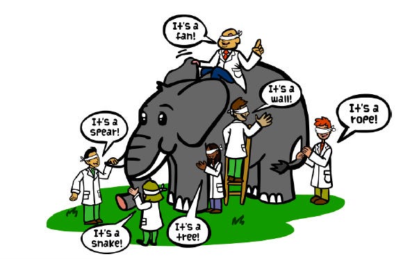 The Blind Elephant | Baseline Assessments for Organizational Growth