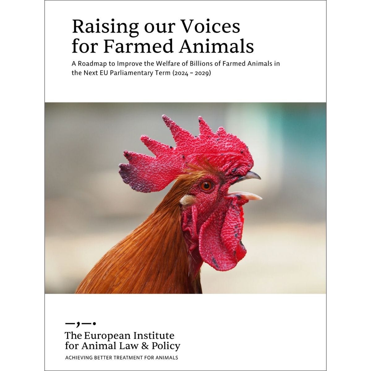 A Roadmap to Improve the Welfare of Billions of Farmed Animals in the Next EU Parliamentary Term (2024 – 2029)