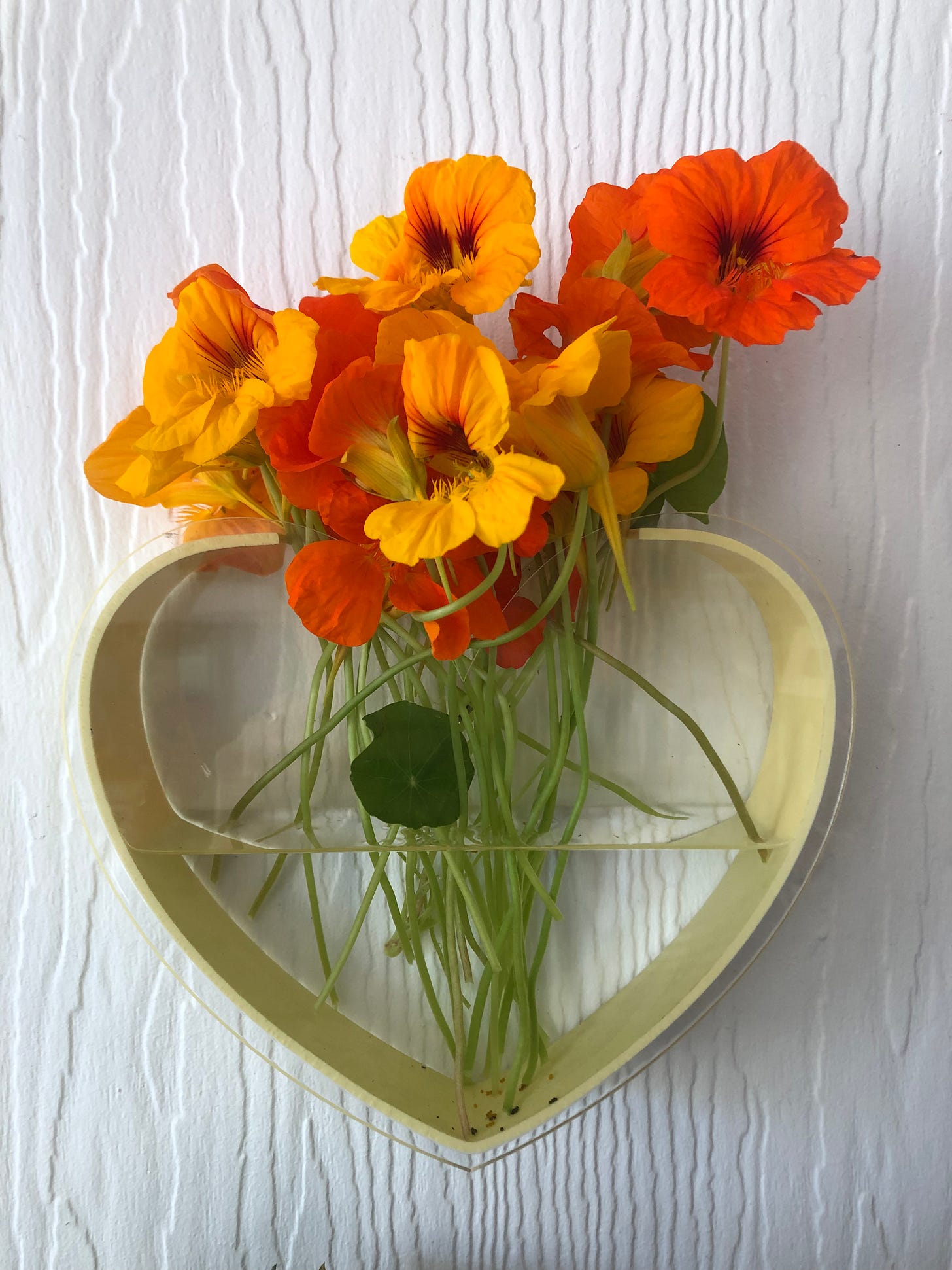 orange nasturtiums in a yellow heart vase