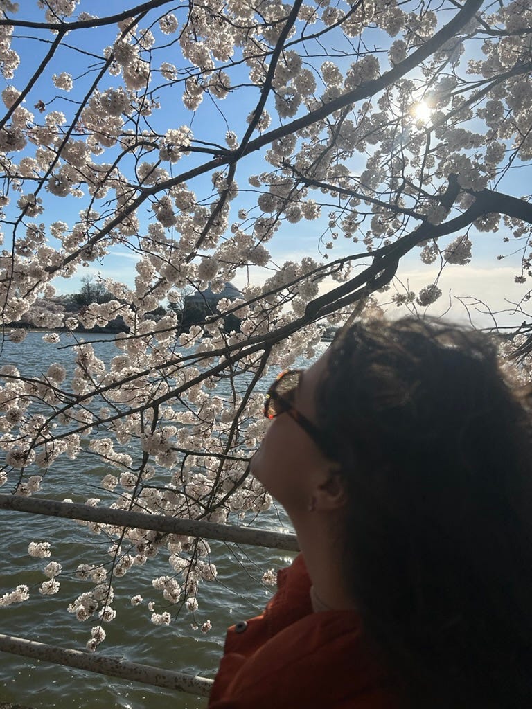 Isa is in the bottom right corner of the frame, her face with sunglasses on, turned toward branches of cherry blossoms arcing around her. Beyond them, the water. Isa wears a puffy orange jacket and small gold hoops. Her hair is dark and curly and blowing back in the wind.
