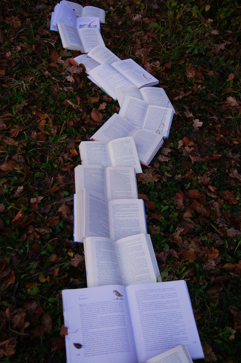 A trail of open books. Photo by Laura Kapfer. (Unsplash).