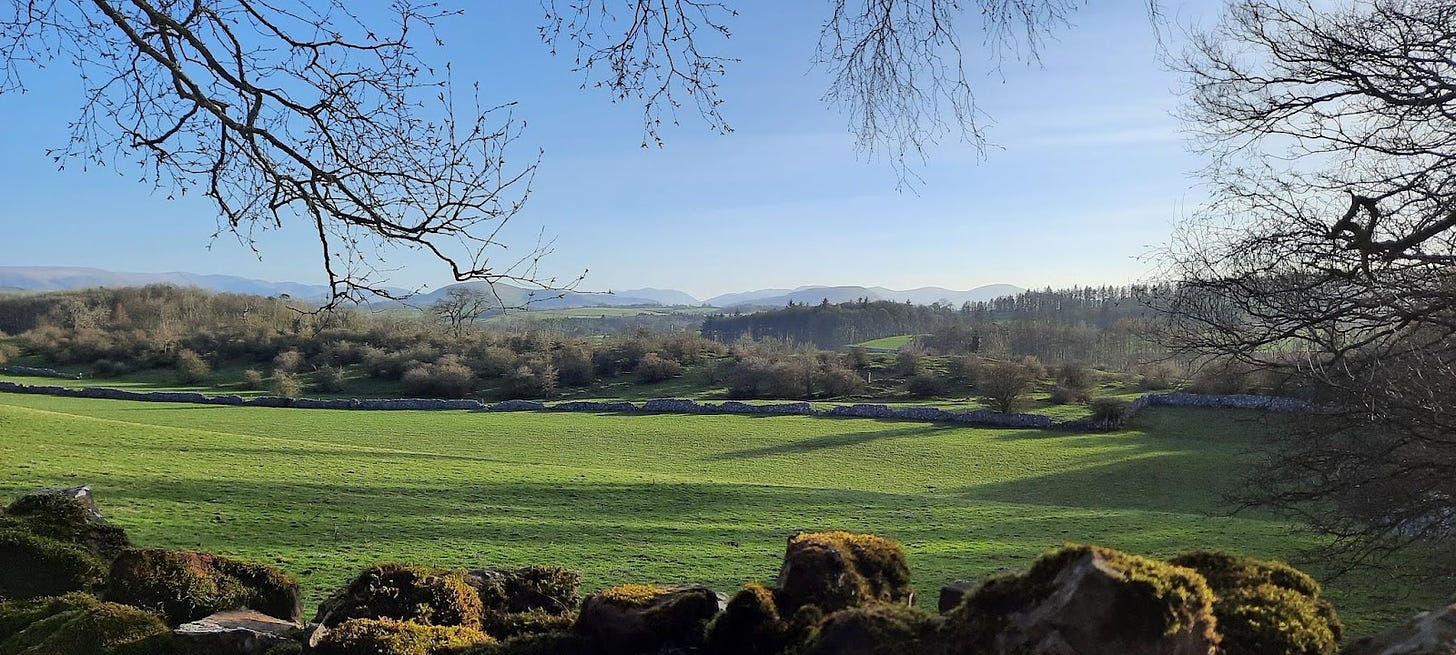 View over a field towards mountains. The grass is spring green and sky is spring blue. There is a drystone wall covered in moss in the foreground. 