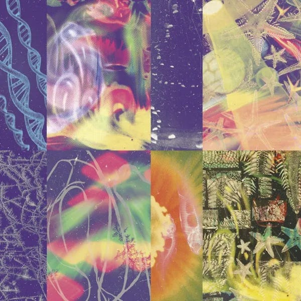Cover art for The Neon Gate by Nap Eyes