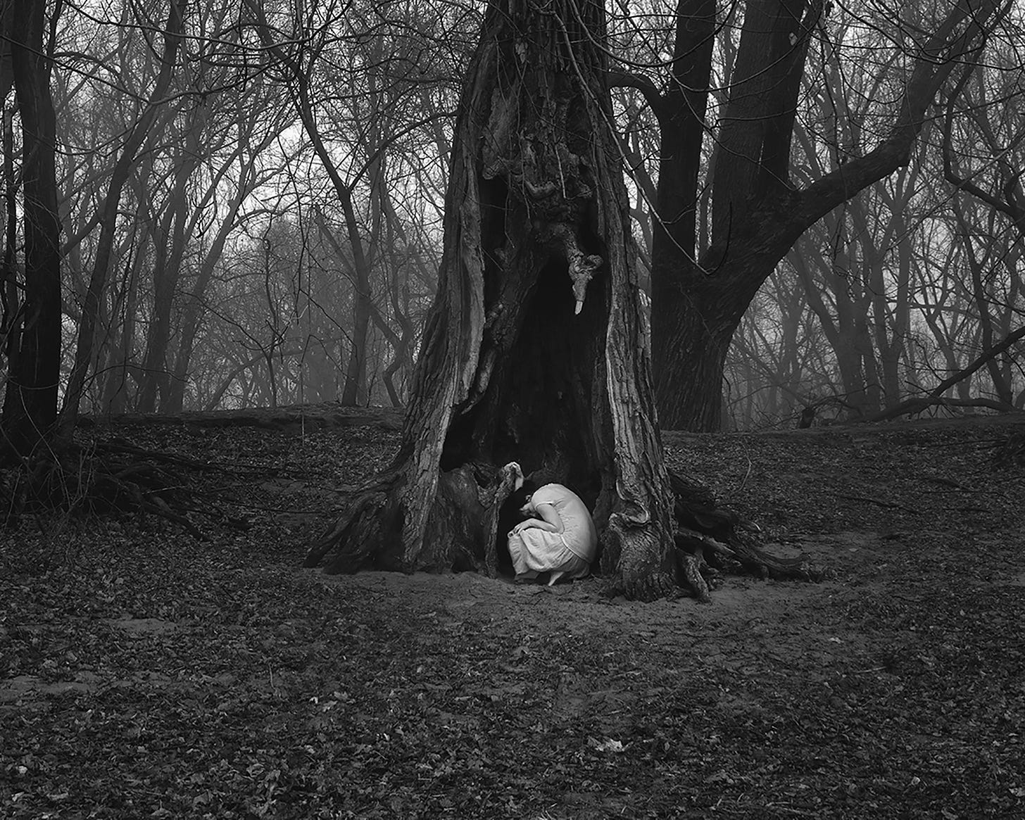 A woman hiding in a hollow tree trunk 