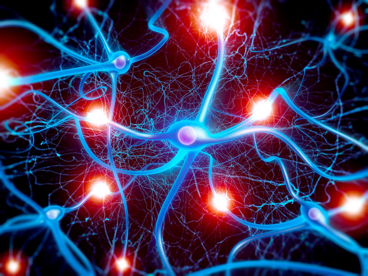 A Neuron's Hardy Bunch | Harvard Medical School