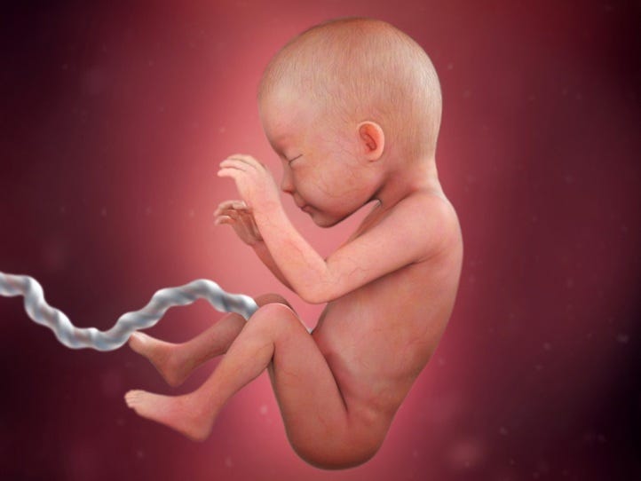 Render of a baby at 26 weeks in the womb. It looks just like a baby outside of the womb.