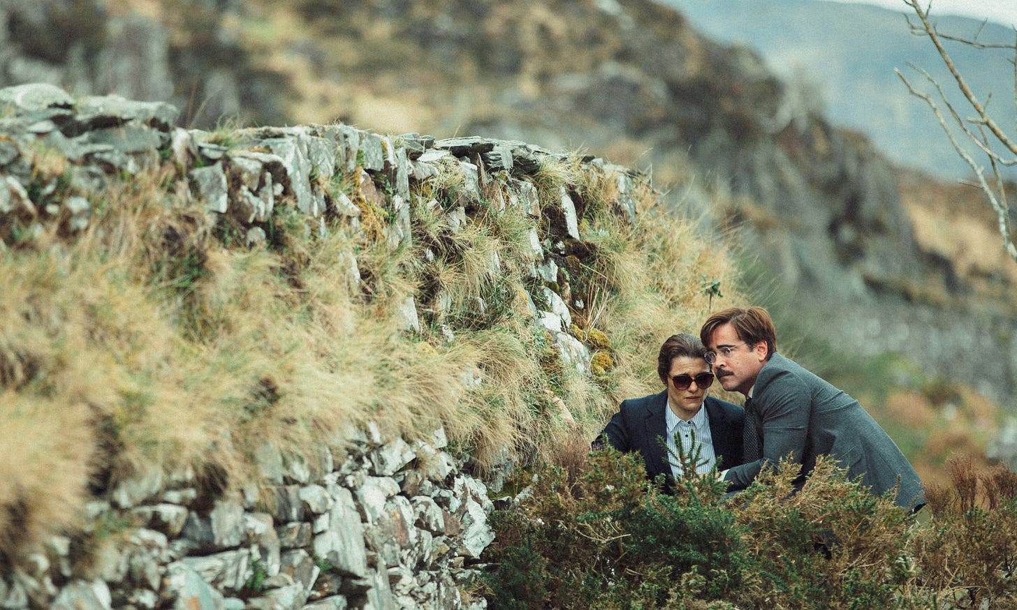 The Lobster: Animal Magnetism, Or Else | The New Republic