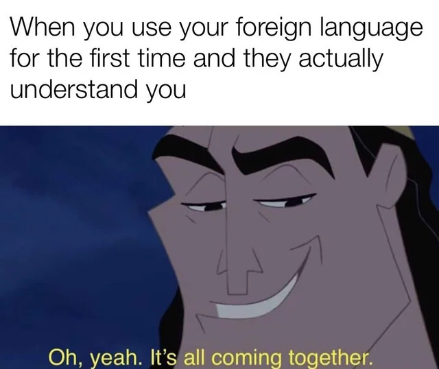 Julio Learns Languages on X: "The best feeling 🤩 #langtwt #LanguageLearning  #memes https://t.co/8FDxsrtbw4" / X