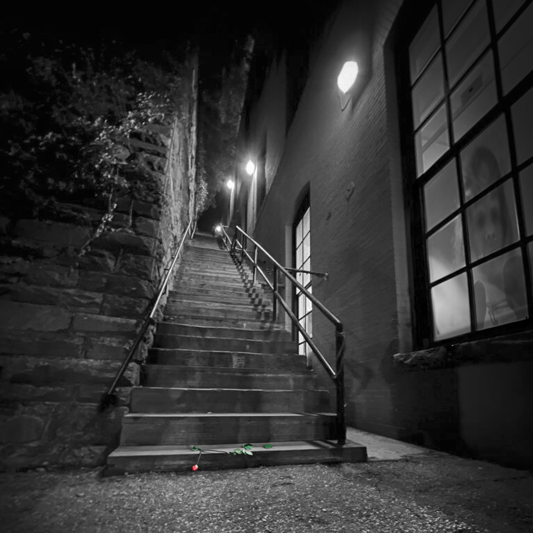 Detail of photograph sourced from Laura Sandvik: “The Exorcist” stairs in Georgetown