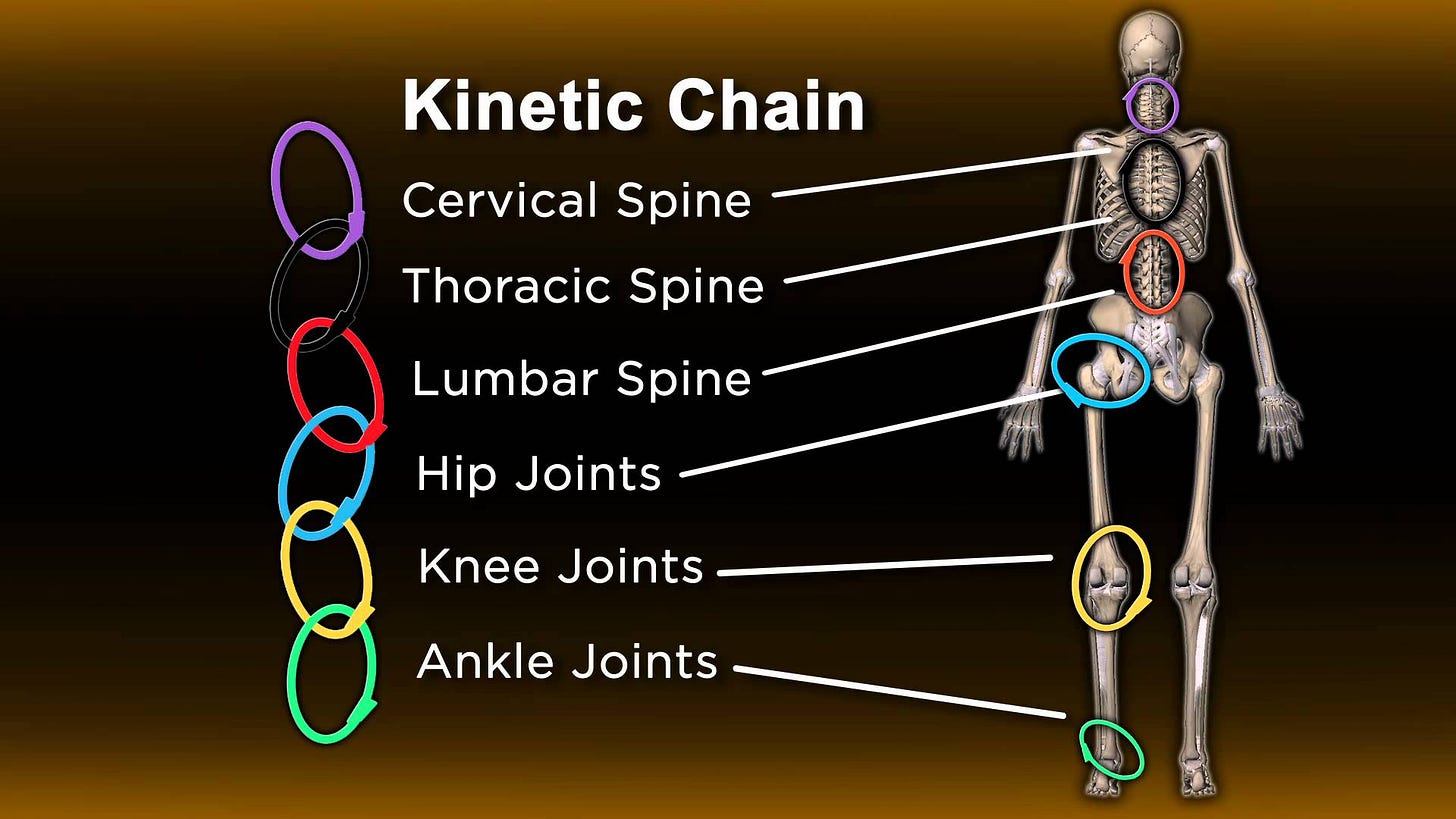 The Concept of the Kinetic Chain | Body in Balance PT