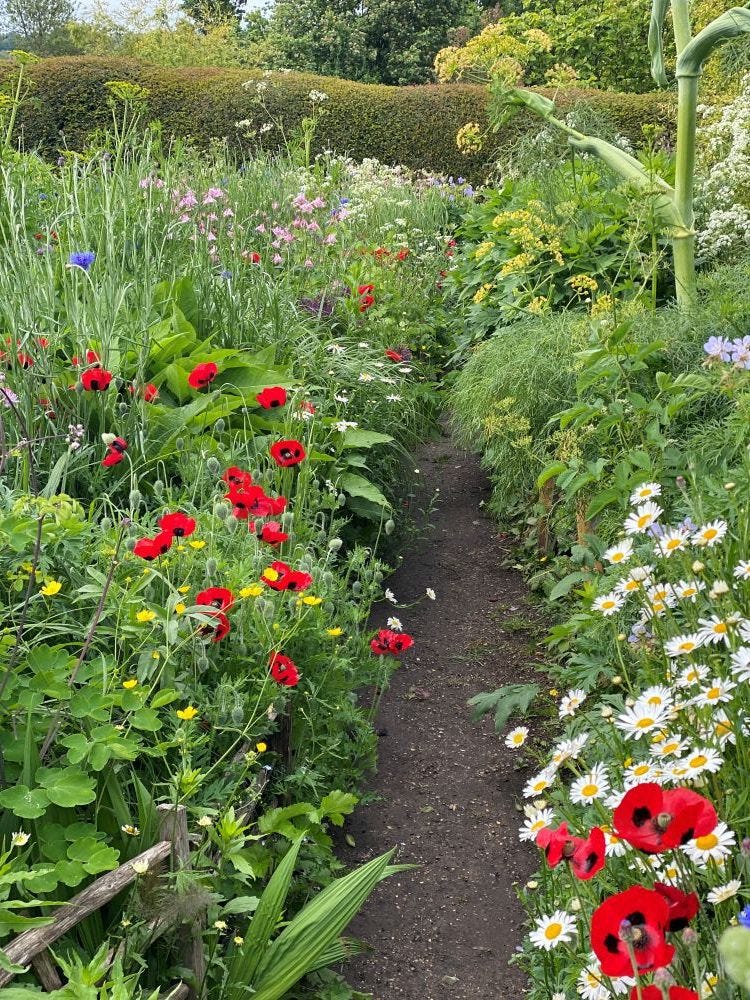 dixter paths