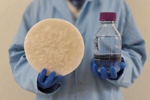 A sorbent created using biomass that can pull drinkable water out of thin air.