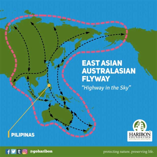 Asian Flyways Collaborative for Waterbirds