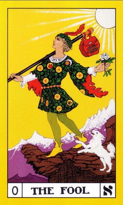 The Fool (The Wise Fool) - Dina Berrin