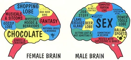 Image result for the male and female brain