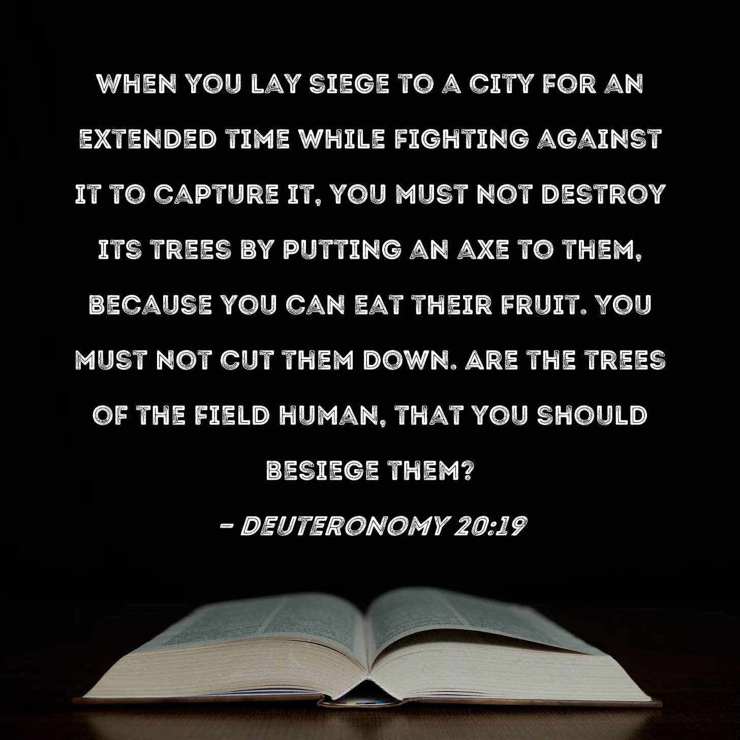 Deuteronomy 20:19 When you lay siege to a city for an extended time while  fighting against it to capture it, you must not destroy its trees by  putting an axe to them,