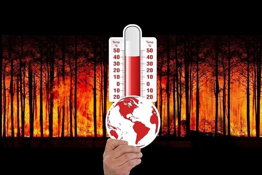 Hand holding a cut out planet against a backdrop of a thermometer showing a high temperature and a burning forest