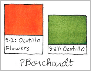 Ocotillo Flower and Leaf colors, detail from Tucson Color Journal ~ March (pen & watercolor)