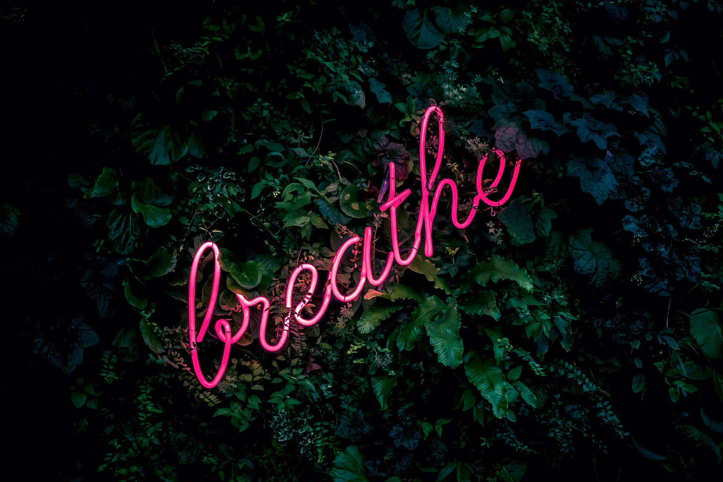 Leafy green backdrop surrounding pink neon lettering that says "breathe" in cursive