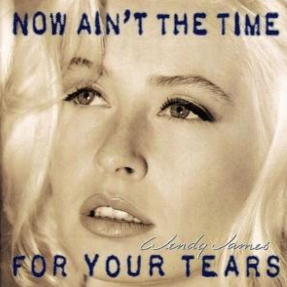 NOW AIN'T THE TIME FOR YOUR TEARS - The Wendy James