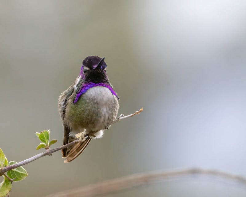 20240307-MBY-12-Edit.jpg