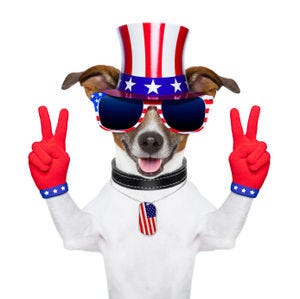 Dogs in Politics Day - Giftypedia
