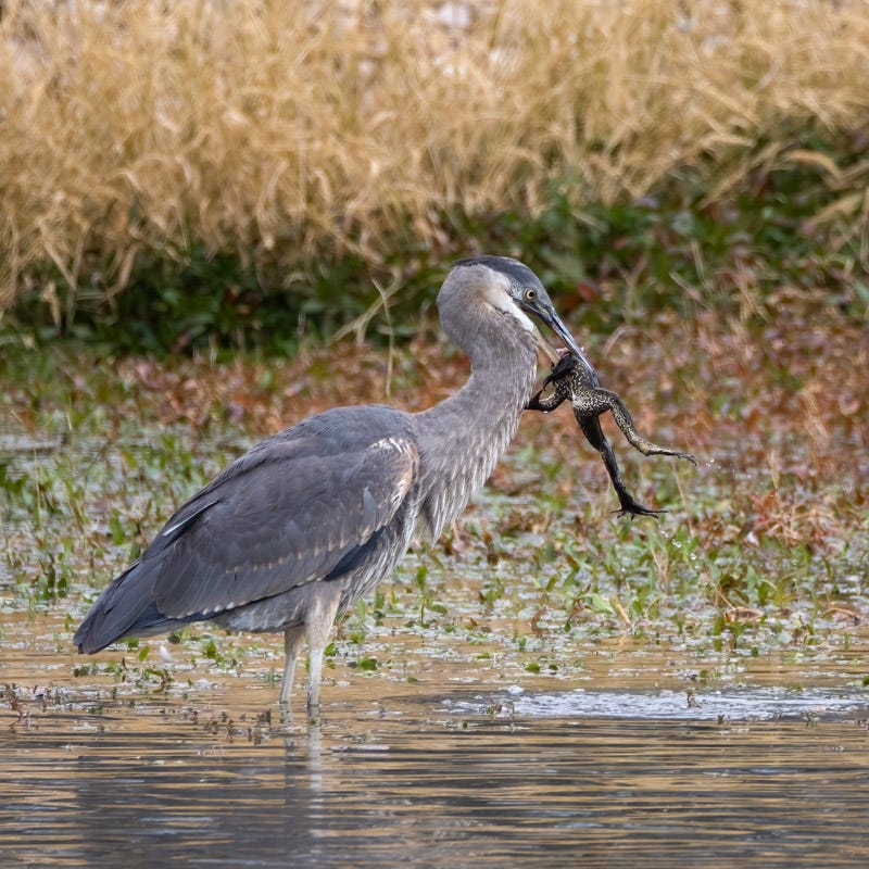 20241116-ElRio-160-Edit.jpg