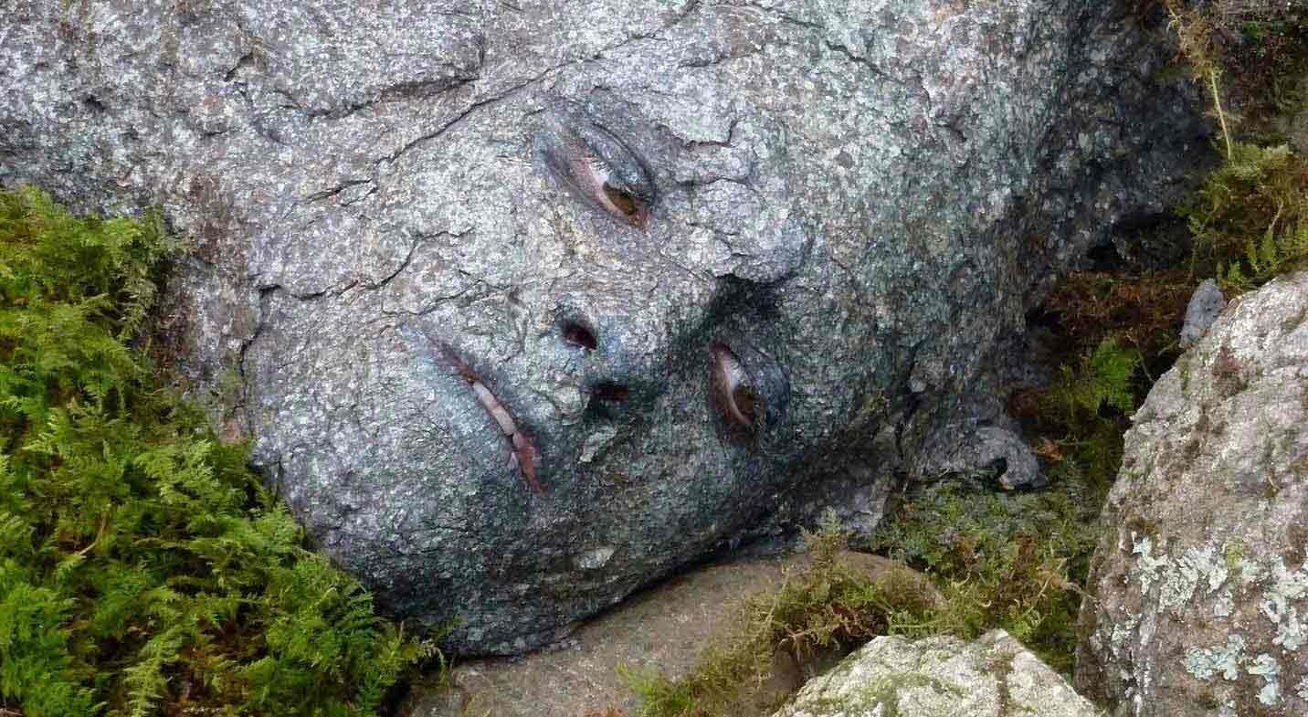 peeta disguised as a rock 