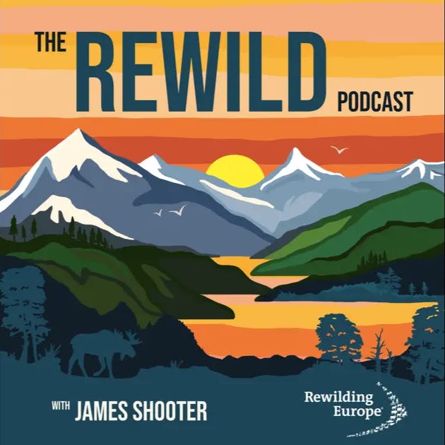 cover from the rewild podcast with james shooter