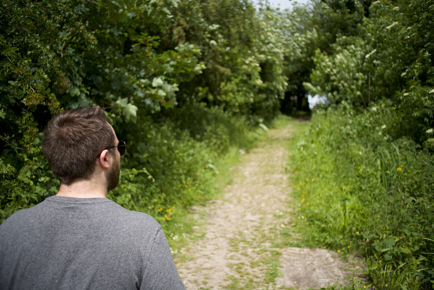 A photograph of a person with their back to the camera walking through a clearing in the woods. It is green, probably late spring or summer. The person is me. I'm wearing a grey t-shirt and sunglasses.