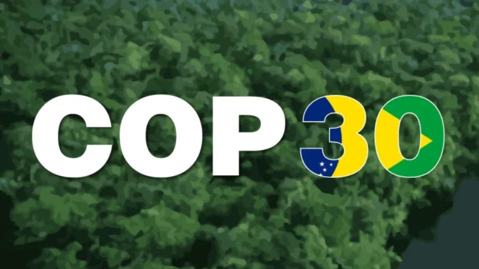 A COP 30 e os desafios ambientais do Brasil e do mundo