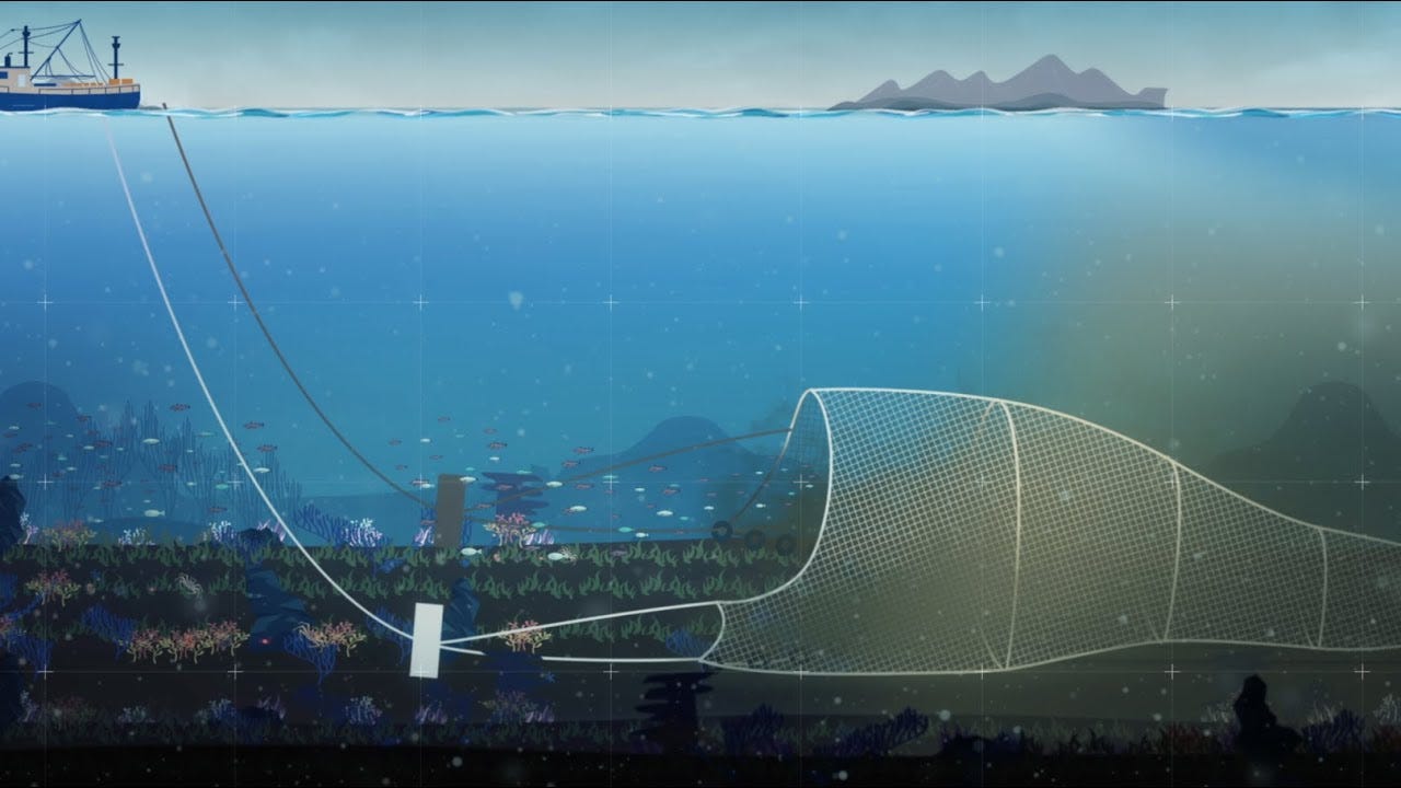 Protect the Arctic Deep from Harmful Bottom Trawling - YouTube