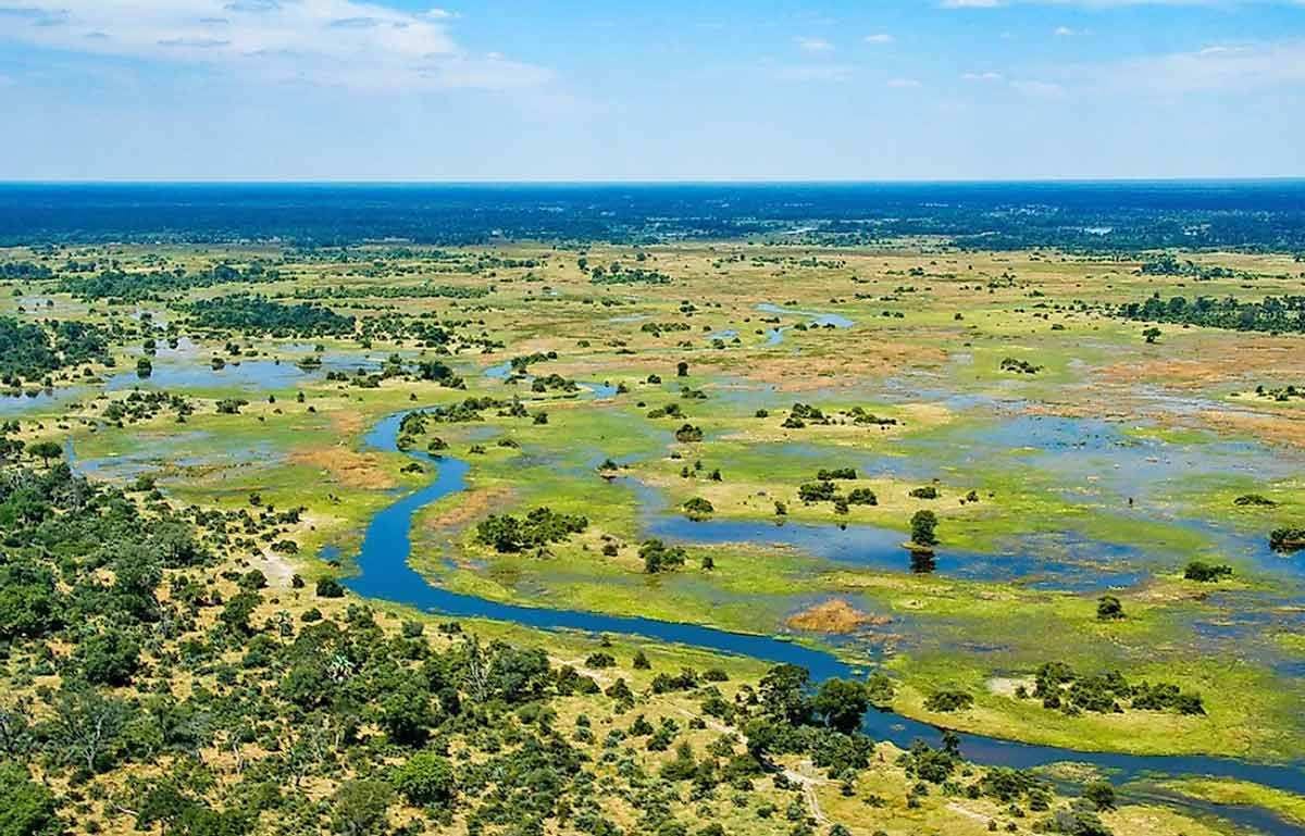 okavango delta marshlands