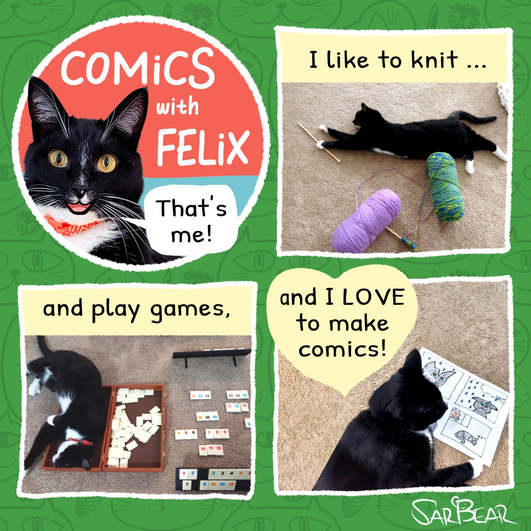 Colorful comic for kids with 4 panels: 1st panel has title "Comics with Felix". There is a picture of a black cat with a white chin. Near his mouth is a speech bubble that says "That's me!". The next panel says "I like to knit" and shows the black cat lying on the ground, stretching out to grab a knitting needle, with colorful balls of yarn nearby. The 3rd panel says "and play games". The black cat is curled up inside of a game box. The last panel says "and I LOVE to make comics!" The black cat is sitting in front of a comic about a black cat who is dreaming that they were caught in the rain. Sarah Giles's signature "Sar Bear" is below the comic. 